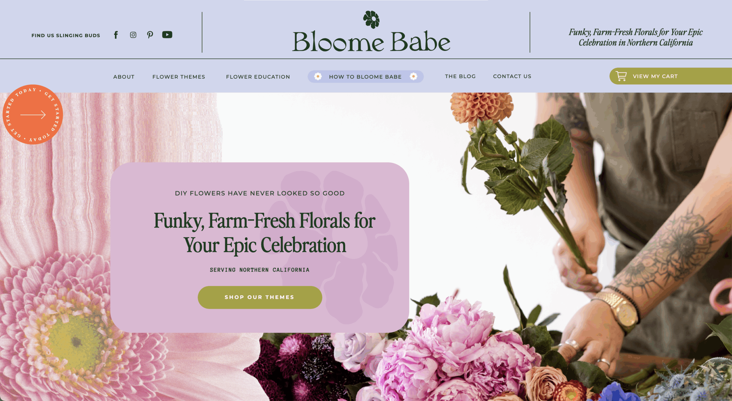 Website homepage of "Bloome Babe"